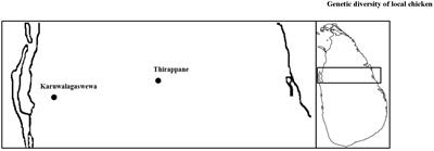 High Genetic Diversity but Absence of Population Structure in Local Chickens of Sri Lanka Inferred by Microsatellite Markers